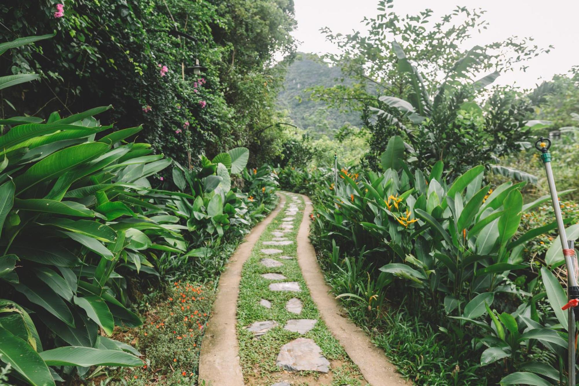 Trang An Ecolodge Ninh Binh Exterior photo